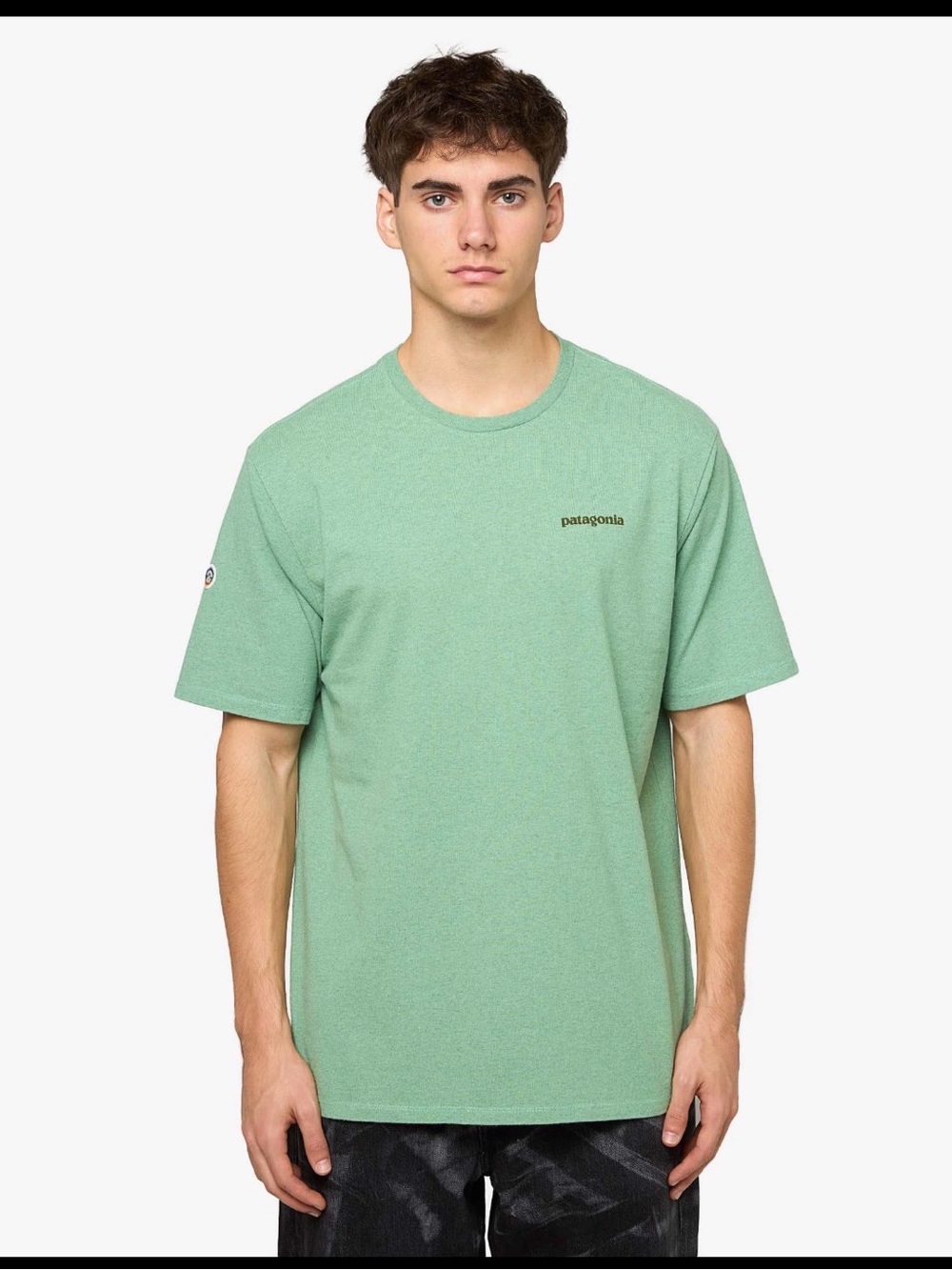Patagonia Short Sleeve Crew Tee in Mint Green